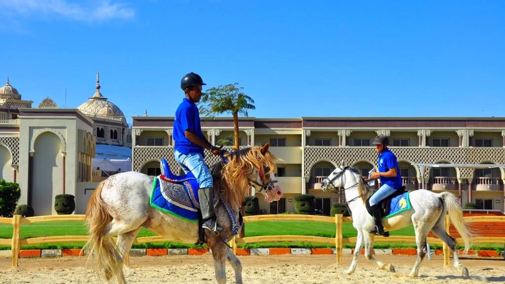 الفندق صن رايز جاردن بيتش ريزورت - الغردقة